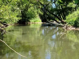 Weißer Main (Kulmbach)-4