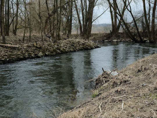 Weißer Main (Kulmbach)-2