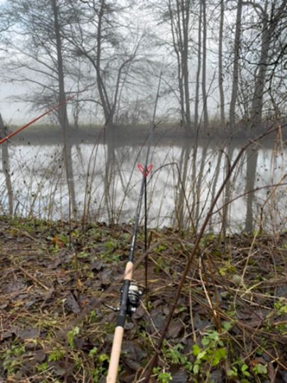 Weißer Main (Kulmbach)-1