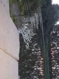 Priestersee (Gägelow)-2