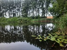 Priestersee (Gägelow)-3