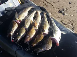 Ostsee (Elmenhorst)-1