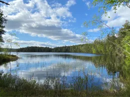 Dammsjön Put and Take fiske (Nyhyttan)-1