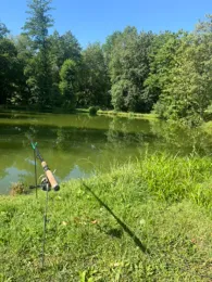 Fischteich Vellberg-2