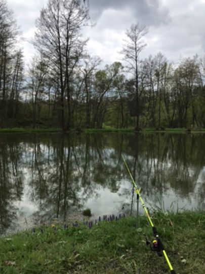 Fischteich Vellberg-1