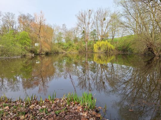 Teich Seinstedt ALLE ANGELN