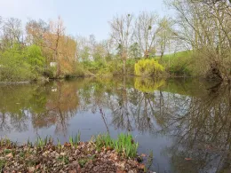 Teich Seinstedt-1