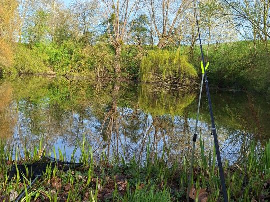 Teich Seinstedt ALLE ANGELN