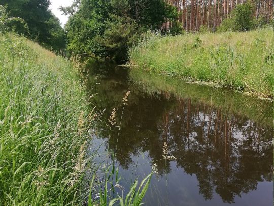 Rögnitz (Glaisin)-4