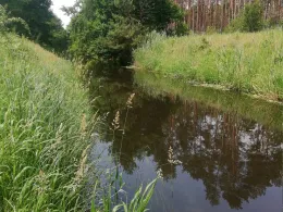 Rögnitz (Glaisin)-4