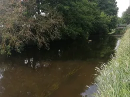 Rögnitz (Glaisin)-3