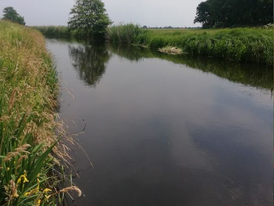 Rögnitz (Glaisin) angeln