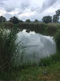 Schachtteiche Dippach