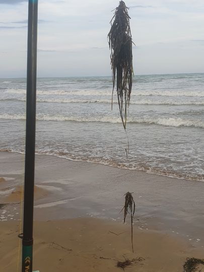 Adria (Bibione)-1