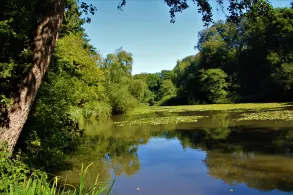 Kühlerweiher (Doveren)