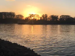 Ginsheimer Altrhein-1