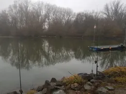 Ginsheimer Altrhein-2