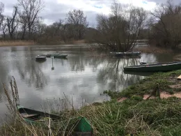 Ginsheimer Altrhein-3