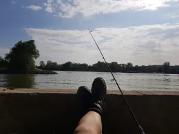 Ginsheimer Altrhein-4