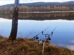 Scharlsee (Weiherhammer)-2