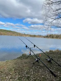 Scharlsee (Weiherhammer)-1