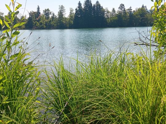 Isarstausee (Bad Tölz)-2