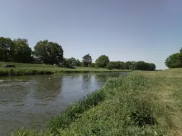 Schwarze Elster (Herzberg/Elster)-1