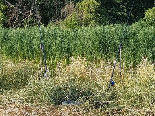 Schwarze Elster (Herzberg/Elster)-4