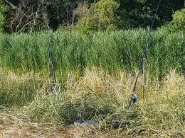 Schwarze Elster (Herzberg/Elster)-4