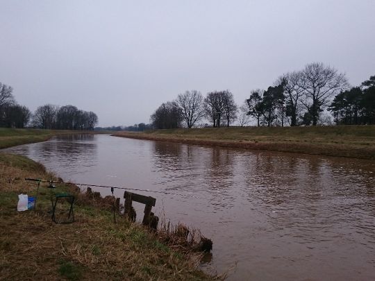 Schwarze Elster (Herzberg/Elster)-3