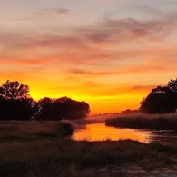 Schwarze Elster (Herzberg/Elster)