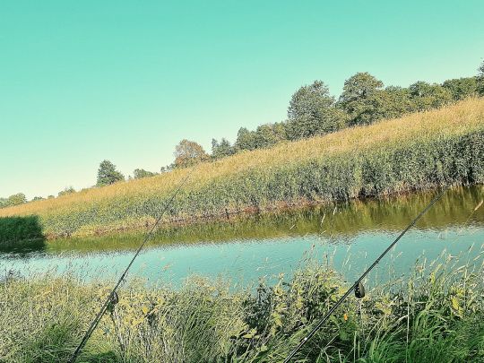 Lager Hase (Essen/Oldenburg)-3