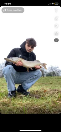 Lager Hase (Essen/Oldenburg)-4