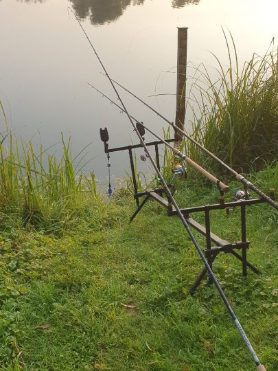 Alsbachsee (Viersen) angeln