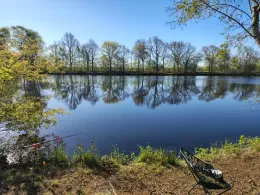 Goldmoor (Löwenstedt)-1