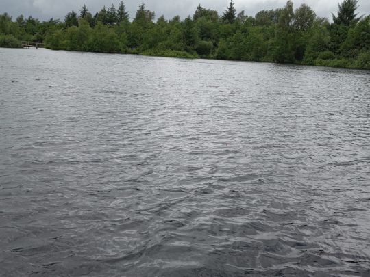 Goldmoor (Löwenstedt)-4