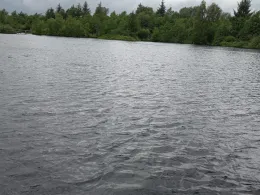 Goldmoor (Löwenstedt)-4