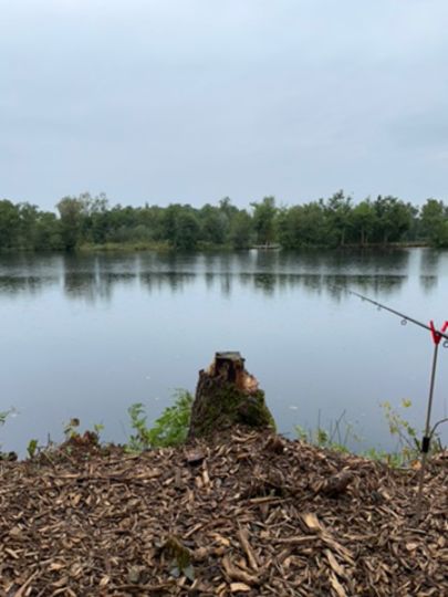 Goldmoor (Löwenstedt)-2