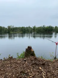 Goldmoor (Löwenstedt)-2