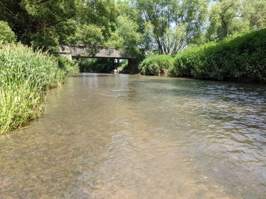 Roter Main (Neudrossenfeld)-2