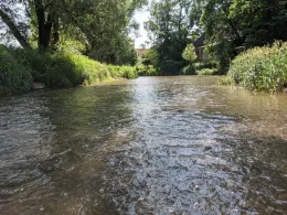 Roter Main (Neudrossenfeld)-4