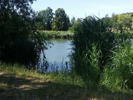 Volksbad (Görlitz)-4