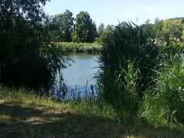 Volksbad (Görlitz)-4