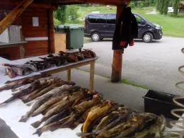 Moldefjorden (Selje)-2