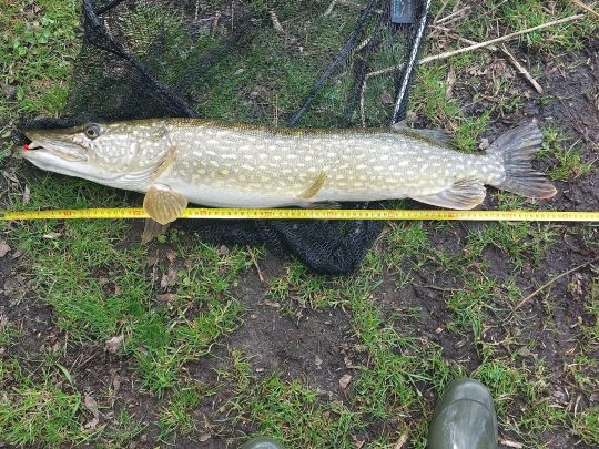 Kleiner Varchentiner See