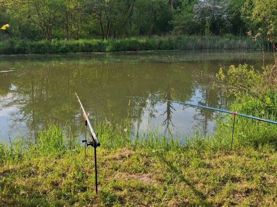 Hellwiesenteich Altenburg