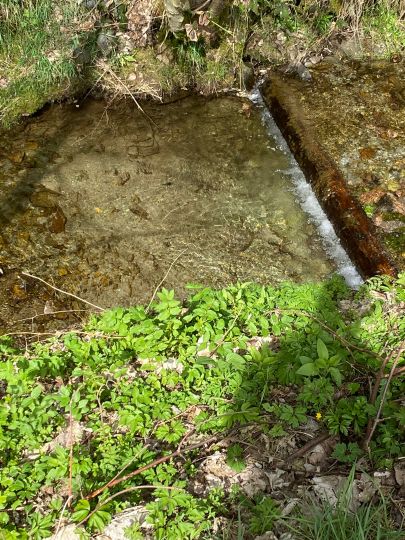 Weiße Schwarza (Schwarzatal)-1