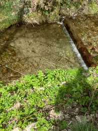 Weiße Schwarza (Schwarzatal)-1