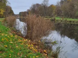 Döllnfließ-Randgraben