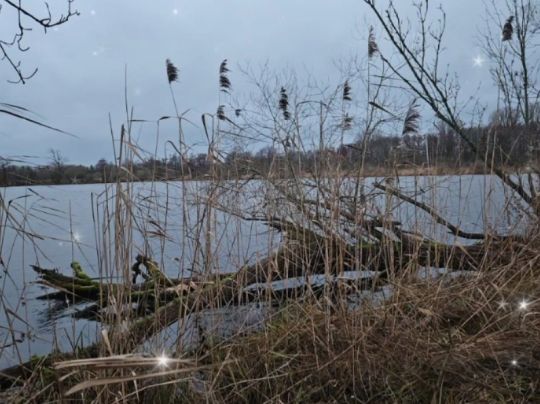 3 Torfgewässer Lüssow-1